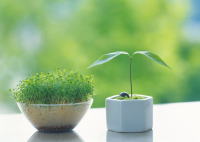 ���j�C���[�W